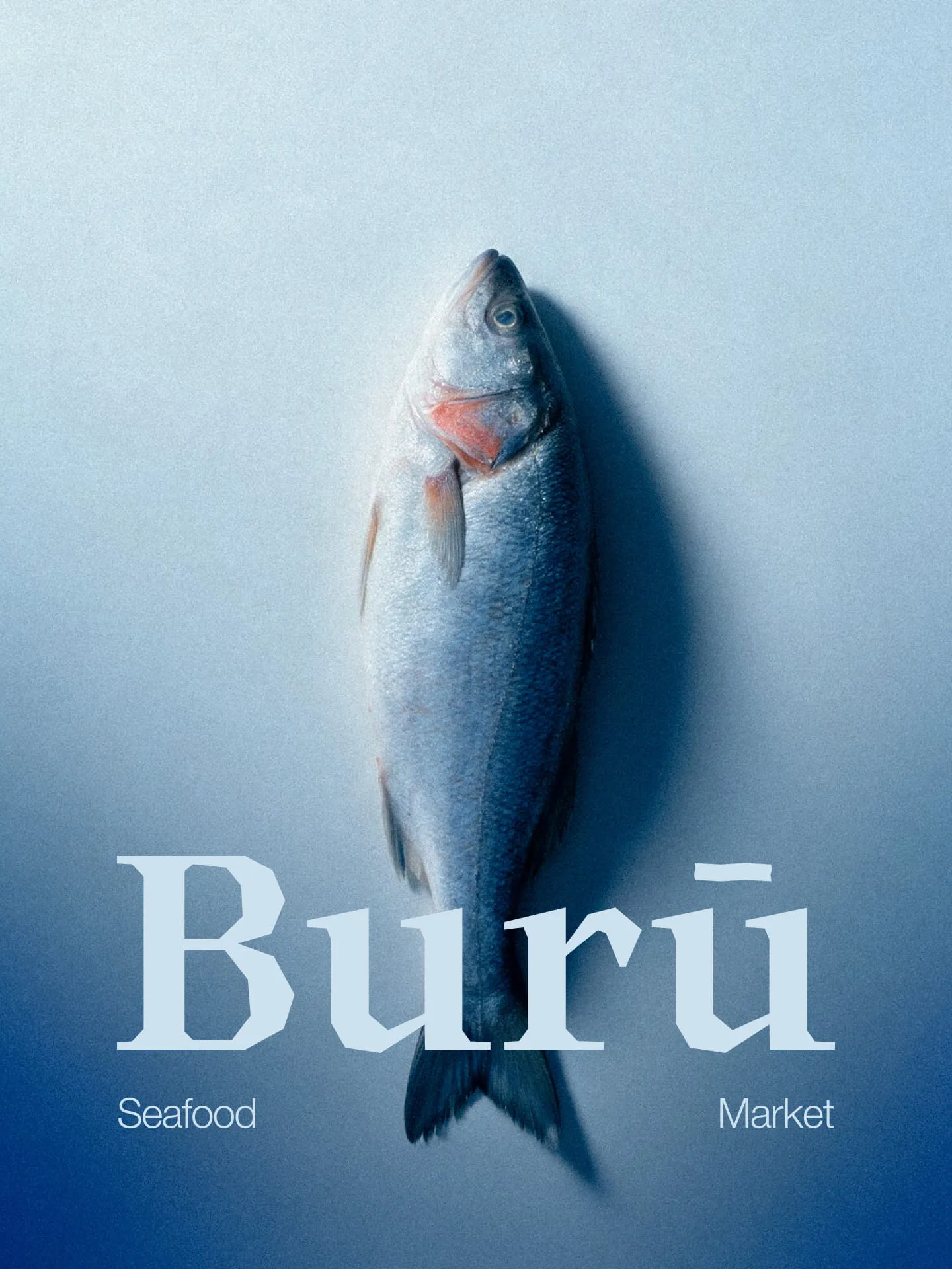 Logotipo + fotografía del producto